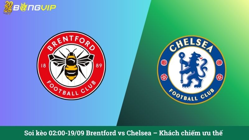 Soi kèo 02:00-19/09 Brentford vs Chelsea – Khách chiếm ưu thế
